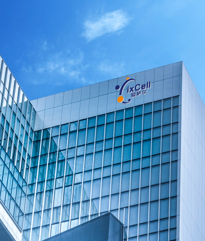 品牌vi設(shè)計