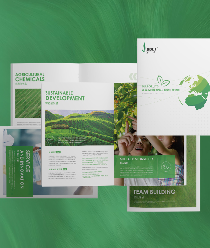 企業(yè)畫冊(cè)