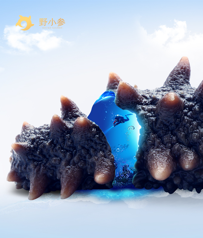 設計制作高端網站