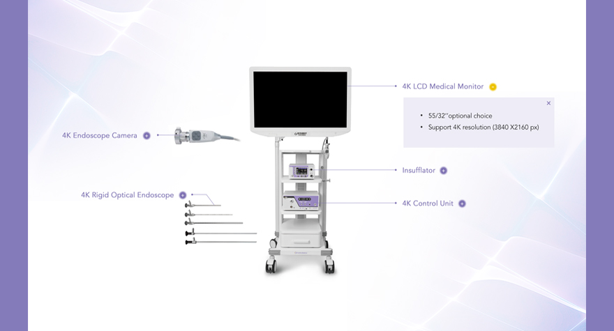 企業(yè)網(wǎng)站設(shè)計(jì)jpg