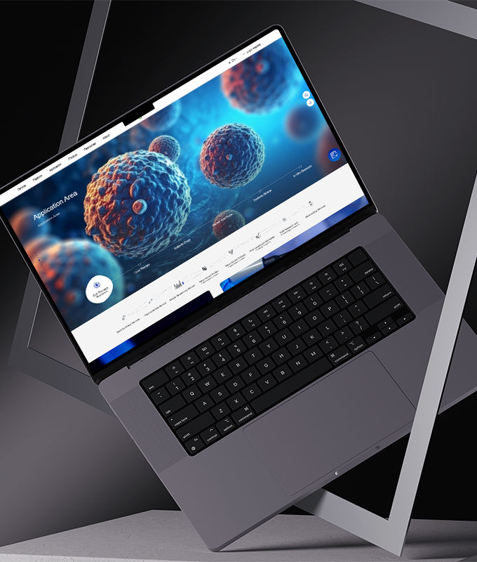 專業(yè)公司網(wǎng)站制作服務(wù)