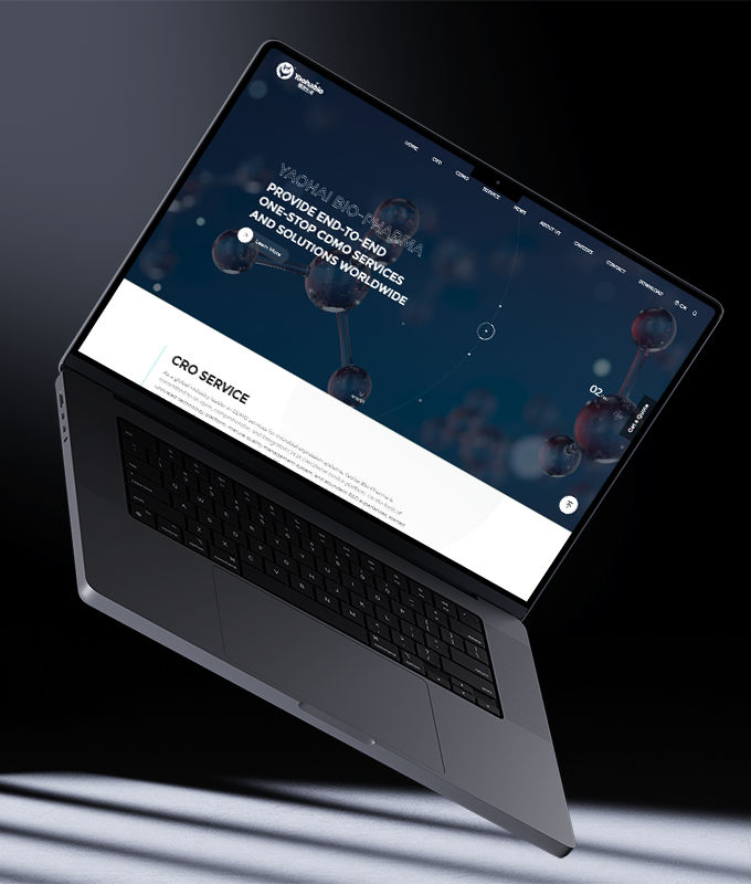 多語言網(wǎng)站定制