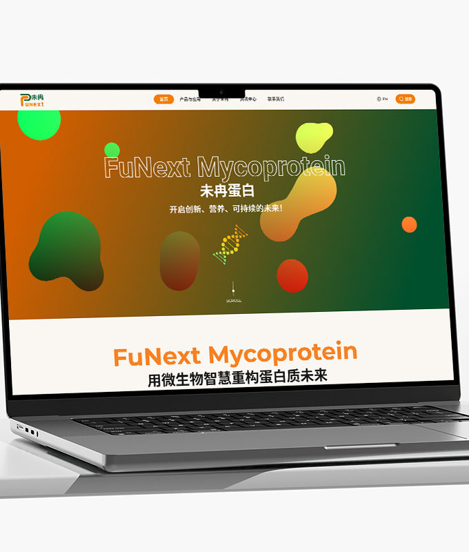 高端網(wǎng)站設(shè)計(jì)