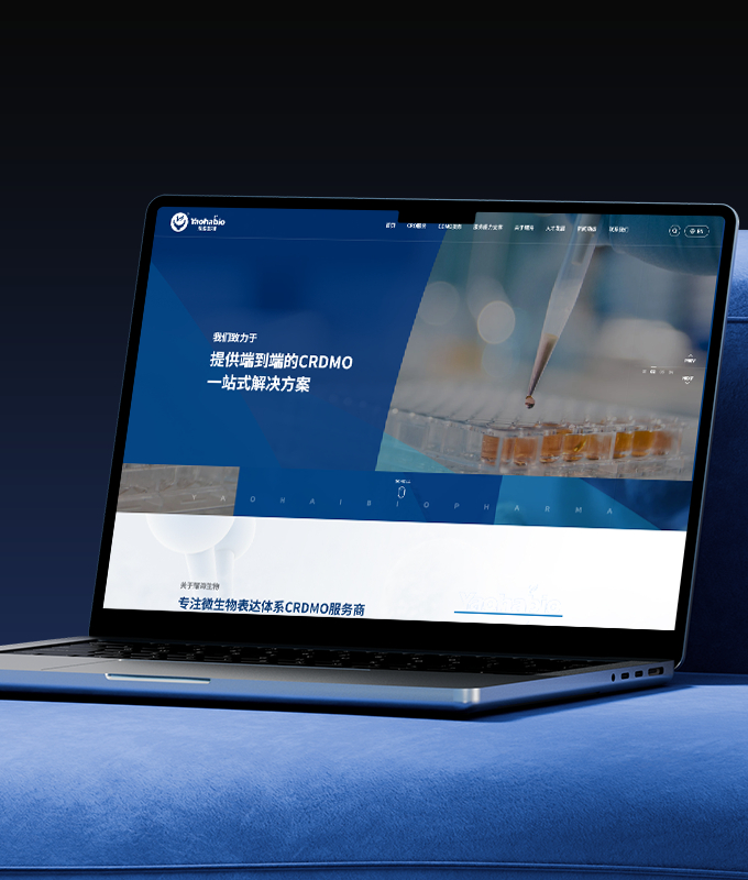 高端網(wǎng)站設(shè)計